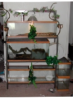 My rack