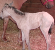 baby pic