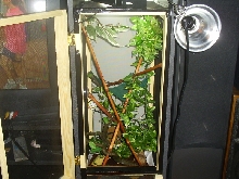 New Screen Cage