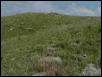 Kansas Habitat