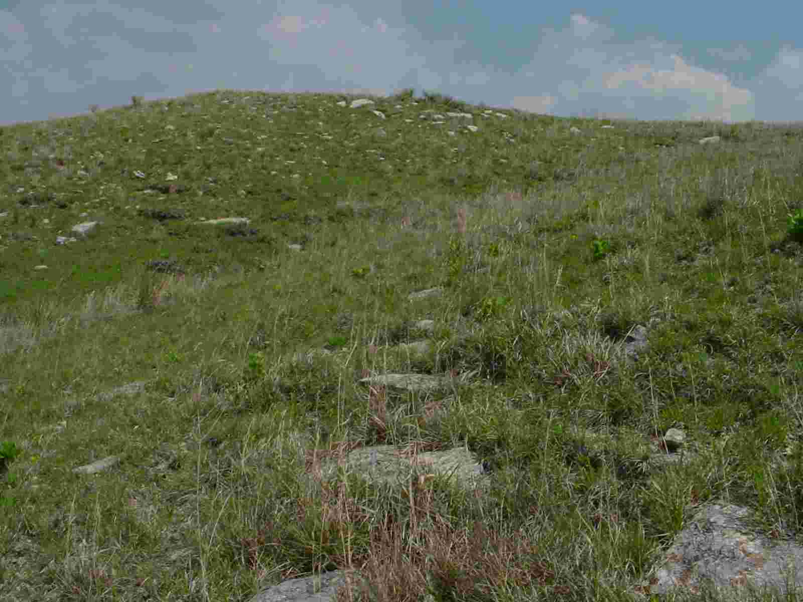 Kansas Habitat
