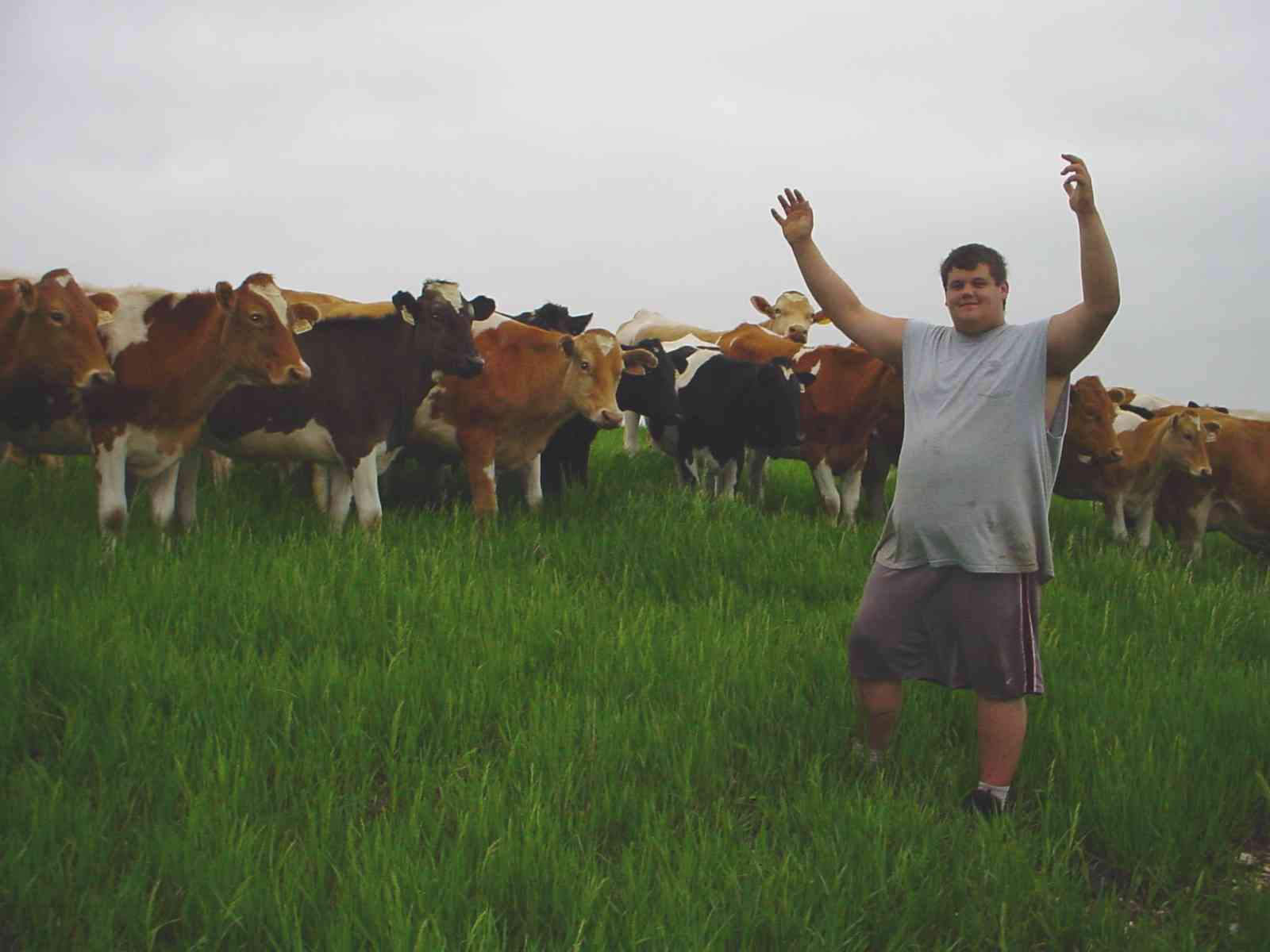 Chad preaching to cows
