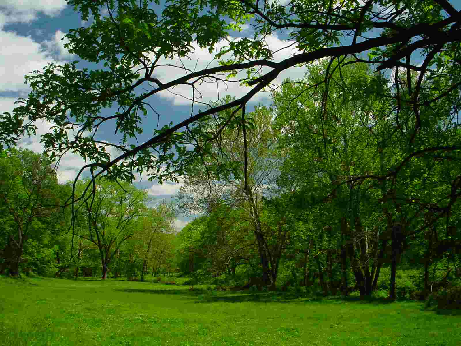 Kansas Habitat