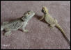 Father & Son