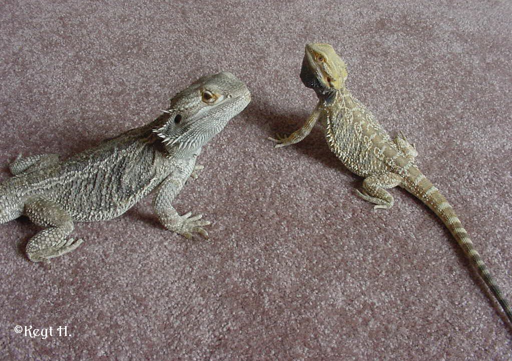 Father & Son