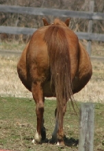 Tubby in April 06