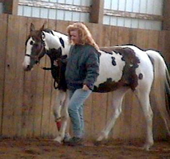 Twister and Sammy