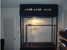 new cage