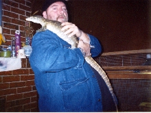 Nile Monitor