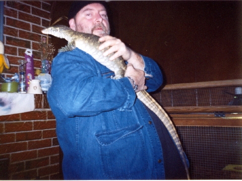 Nile Monitor