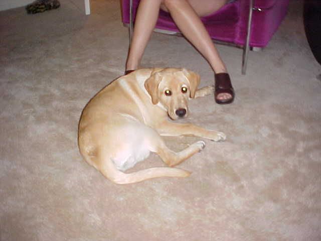 Gina