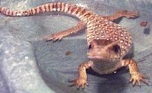 Bath time #2