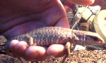 My how he`s grown!