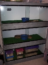 finally done