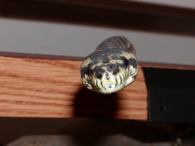 Here's lookin' at ya.
