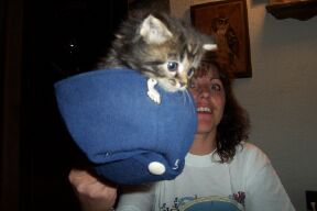 Madison in a hat