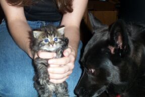 Madison and Ruby