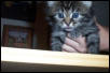 Just a cutie!