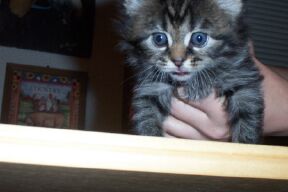 Just a cutie!