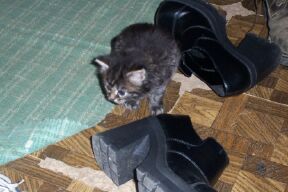 Maddy with my shoes