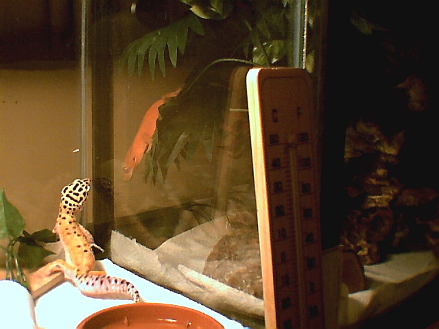 Bell & Zeek