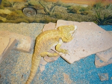 our female