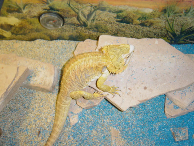 our female