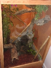 first cage