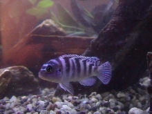 Isn't she stunning!?!?!