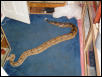 new female boa
