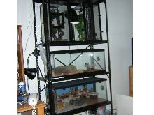rack system