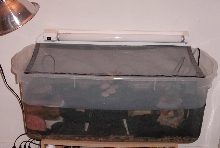 90 liter rubbermaid
