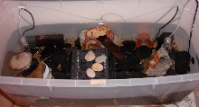 Inside view