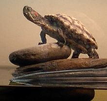 Crush, basking