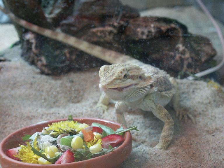 BD Eating 1