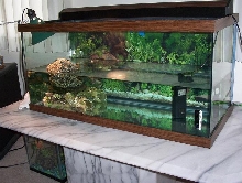 My tank