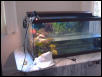 baby basking