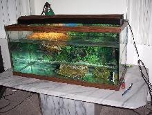 Tank set up