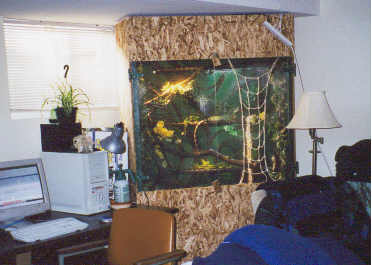 Loki's Cage