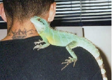 Loki June 2002