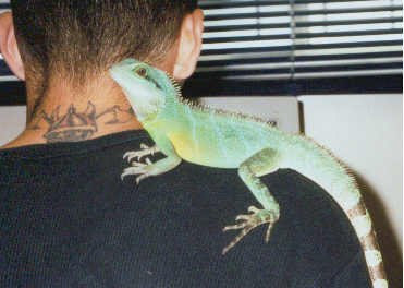 Loki June 2002