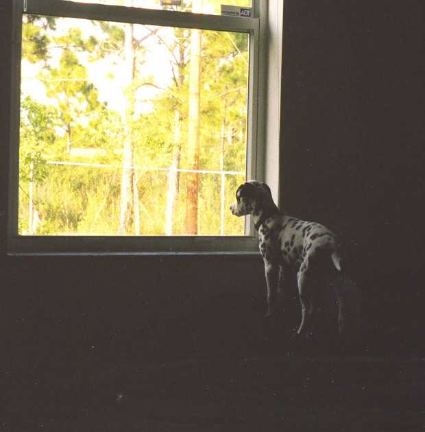 inside looking out
