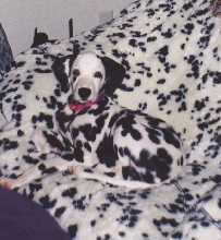 chillin...the early years