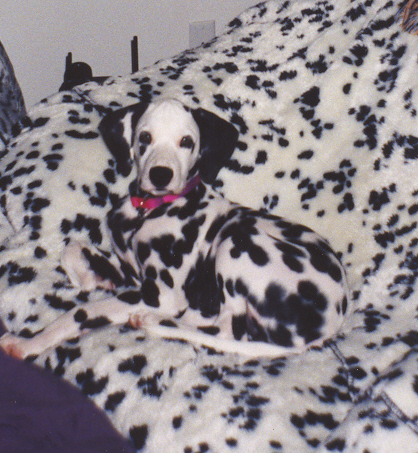 chillin...the early years