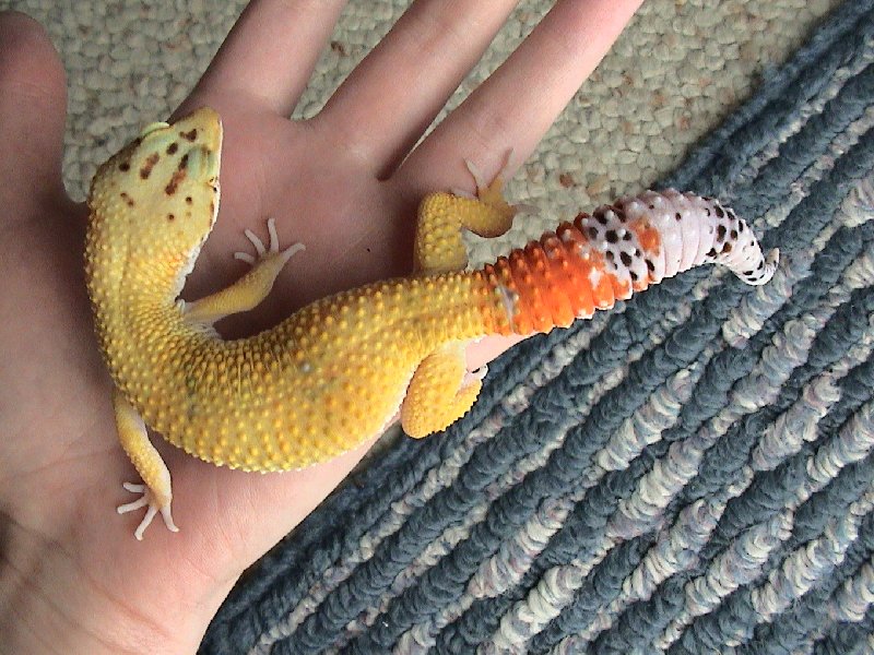 Baby #2