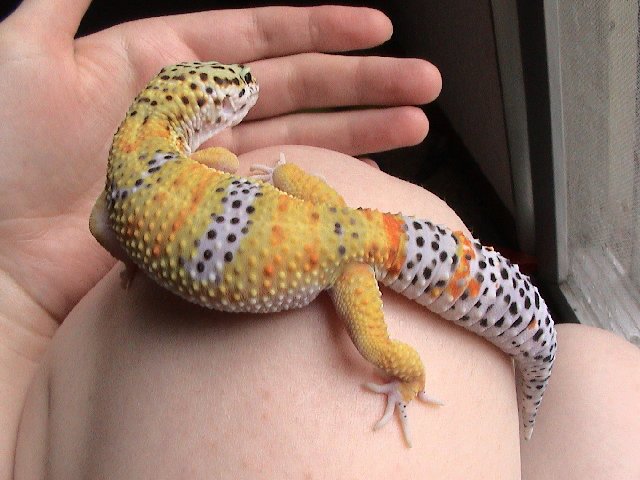 Baby #1