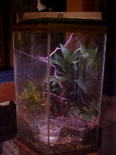 New Dumpy Enclosure