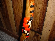 cane