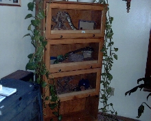 New Enclosure