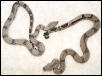 TWO MALES BOAS